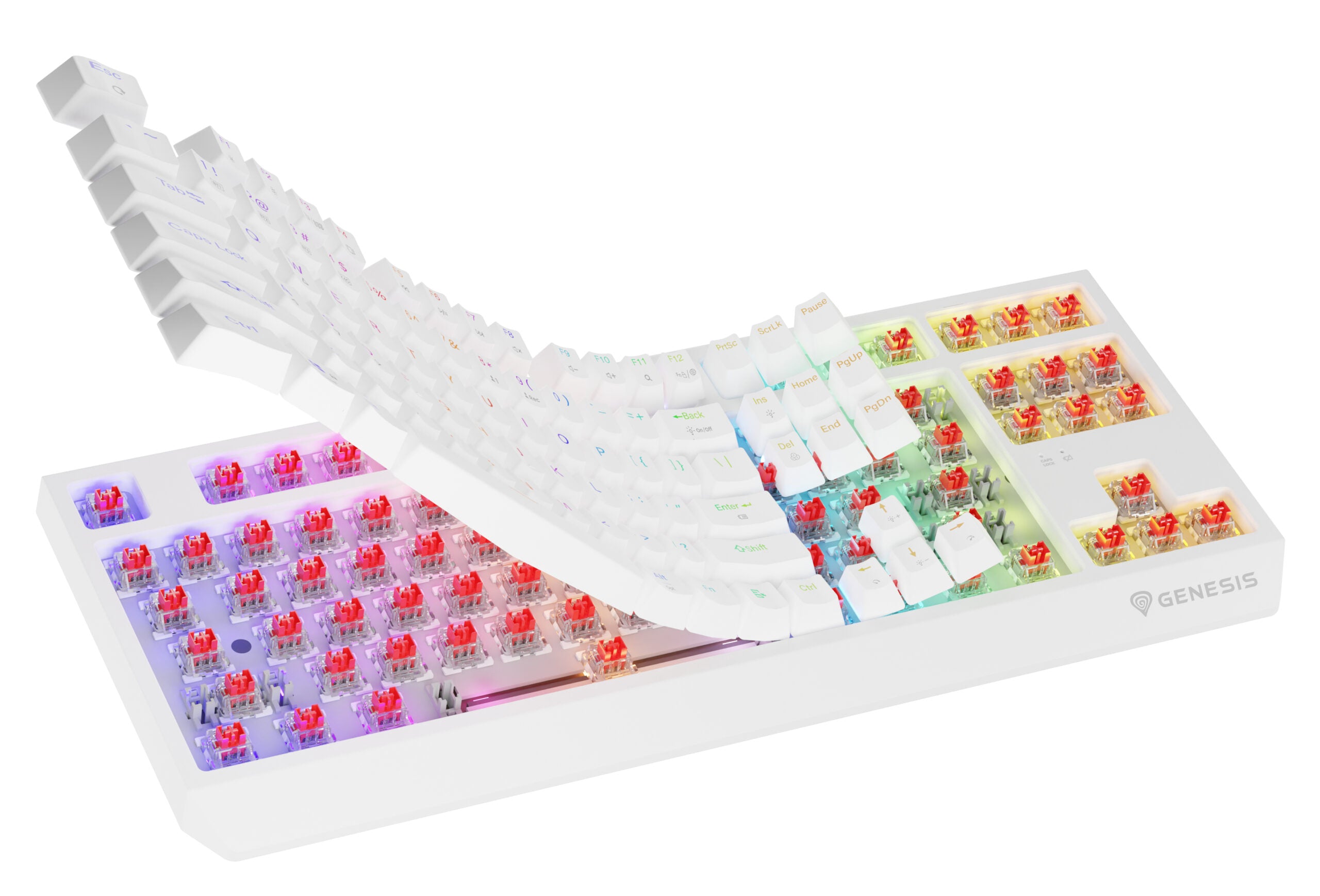 Tastatura WS Genesis Thor 230 TKL R alb "NKG-2165"
