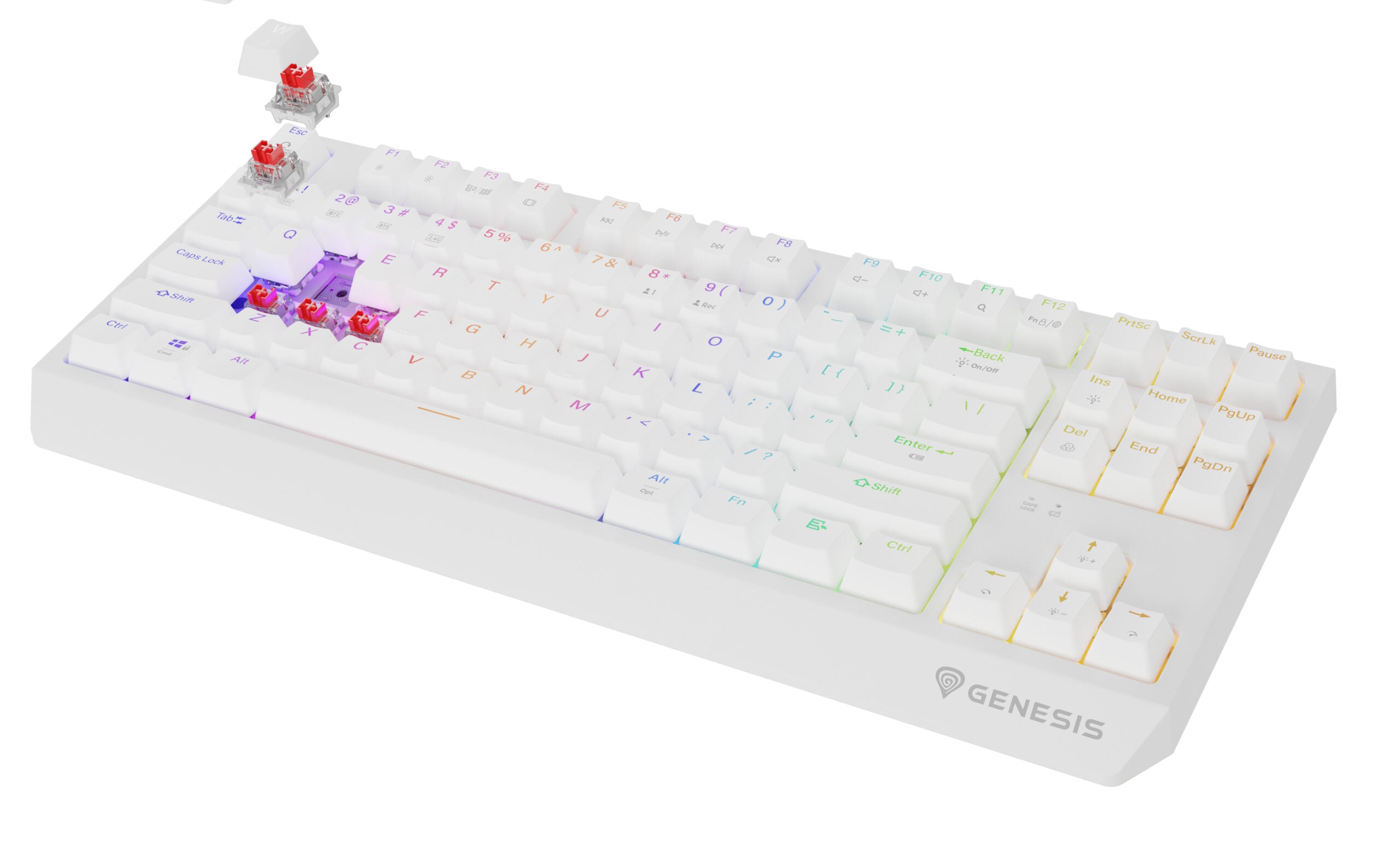 Tastatura WS Genesis Thor 230 TKL R alb "NKG-2165"