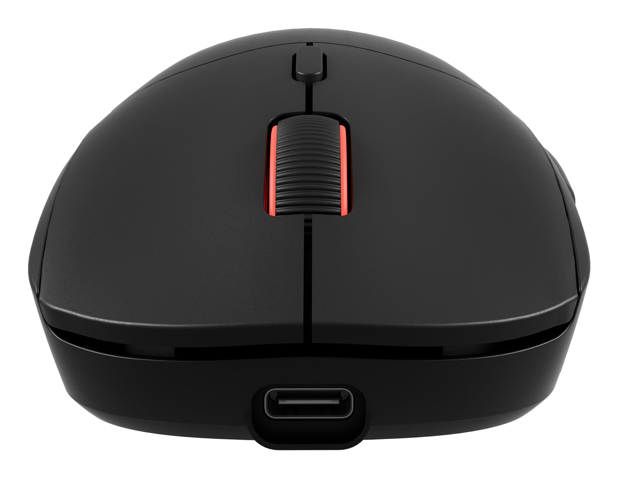 GENESIS Zircon XIII mouse "NMG-2089"