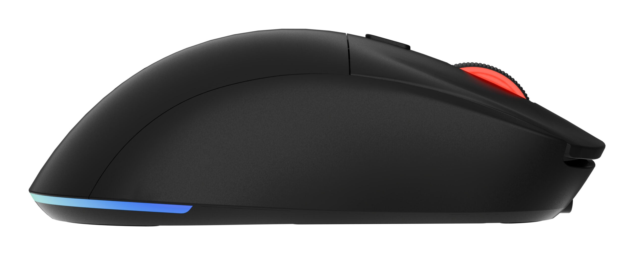 GENESIS Zircon XIII mouse "NMG-2089"