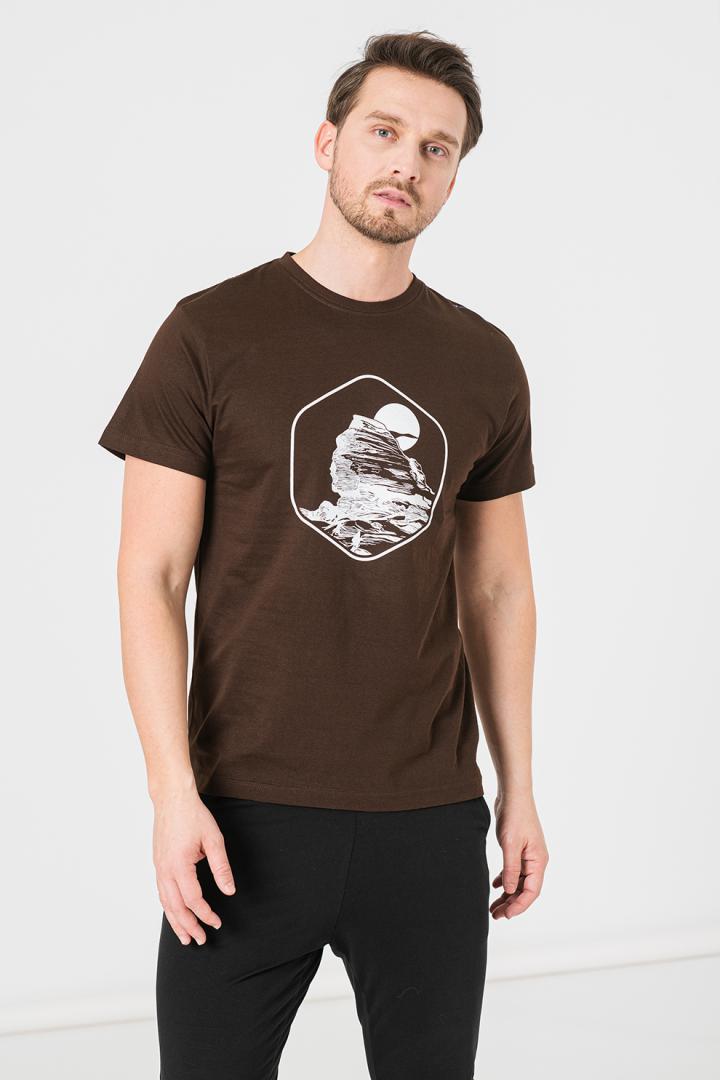 Pegas TRICOU CASUAL SFINX BARBATI COFFEE-M