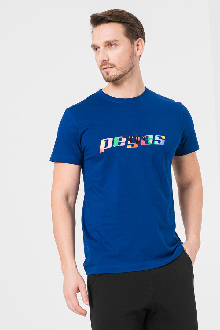 Pegas TRICOU  LOGO MULTICOLOR BARBATI   ROYAL