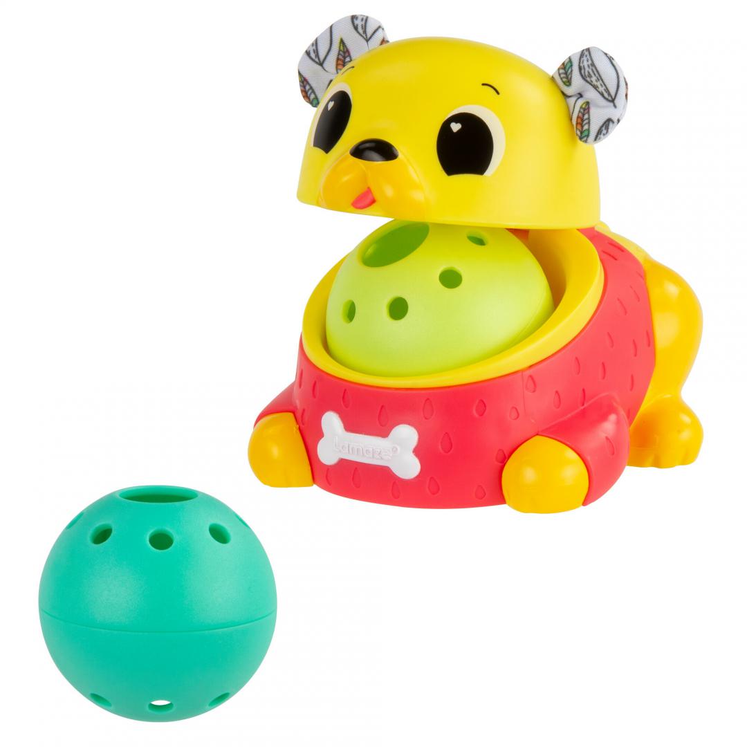 JUCARIE DE URMARIRE, CATEL PUG, LAMAZE