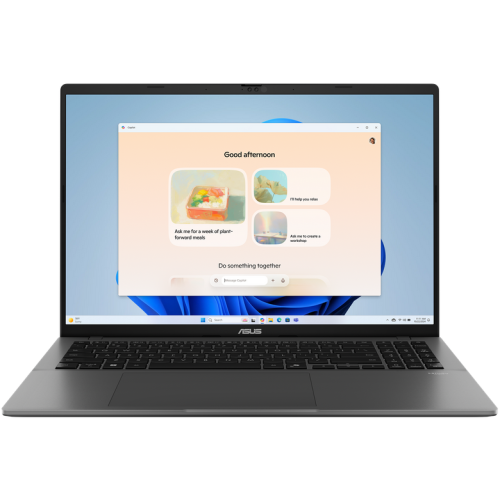 ASUS AS 16 R5 220 16 1 WUXGA DOS