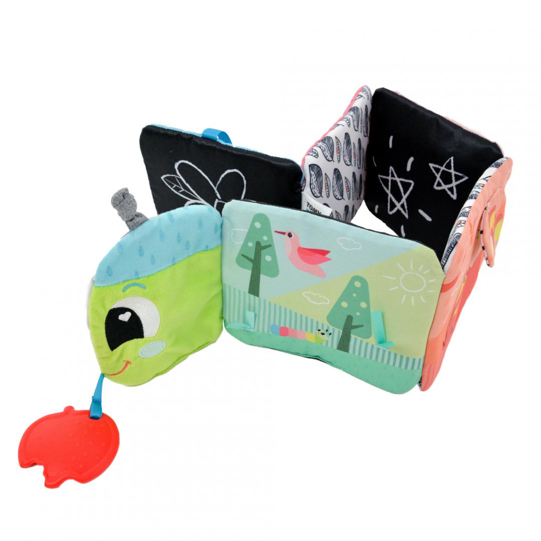 Tomy LAMAZE-CARTE COLORATA, CALATORIA OMIDEI