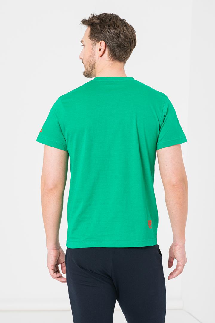 Pegas TRICOU  CERB FAMILIE BARBATI   K GREEN-X