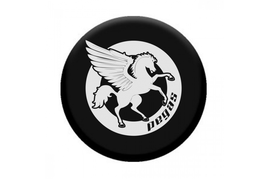 Pegas POPSOCKET