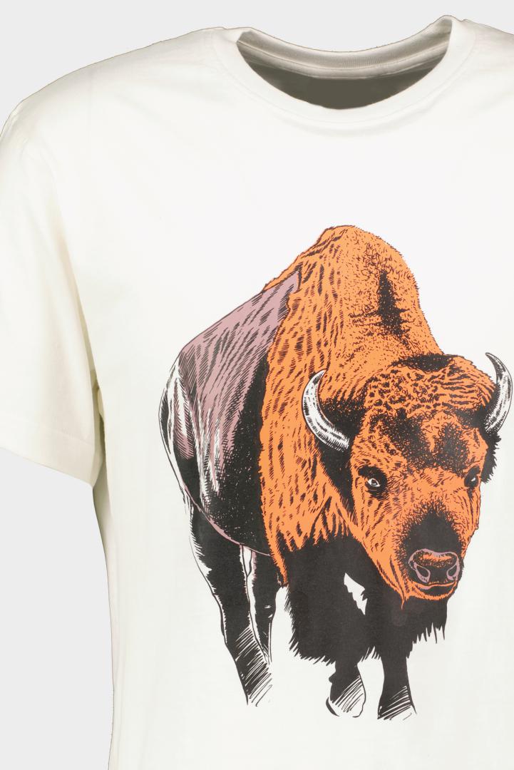 Pegas TRICOU ZIMBRU