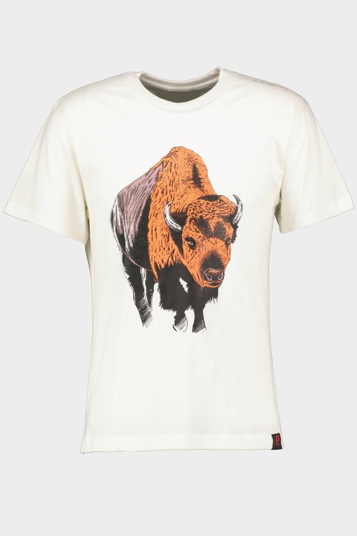 Pegas TRICOU ZIMBRU