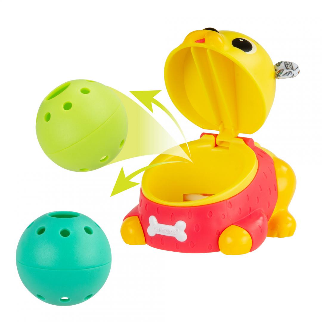 JUCARIE DE URMARIRE, CATEL PUG, LAMAZE