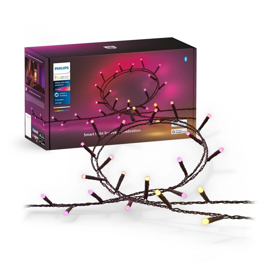 Ghirlanda inteligenta LED RGB Philips Hue Festavia, 250 LED-uri , 24V ,14W, lumina alba si color (2000-6500K), 20m, IP44, Negru