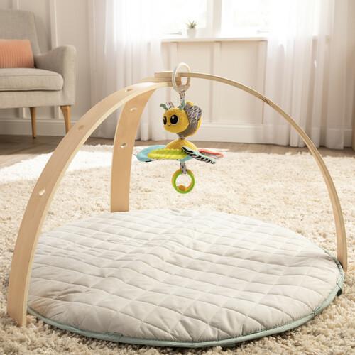 Tomy LAMAZE-ALBINUTA BUZZY