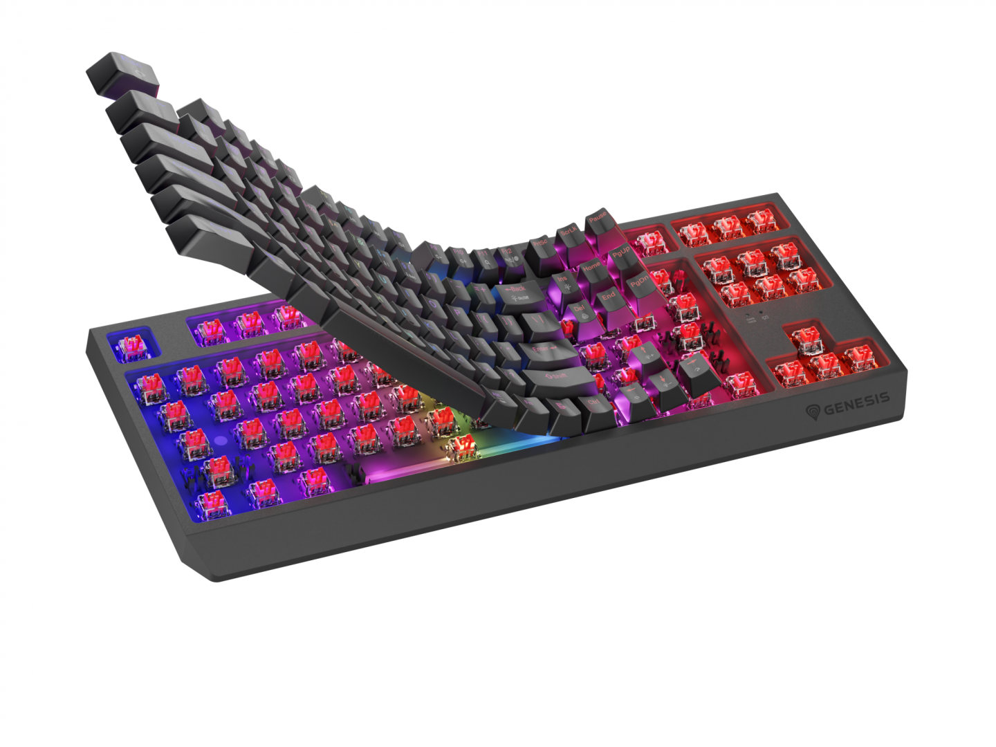 Tastatura WS Genesis Thor 230 TKL R ng