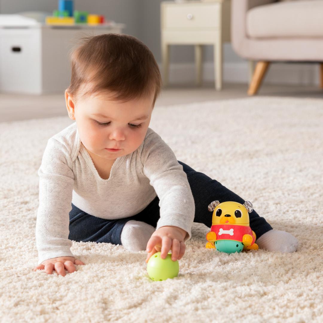 JUCARIE DE URMARIRE, CATEL PUG, LAMAZE
