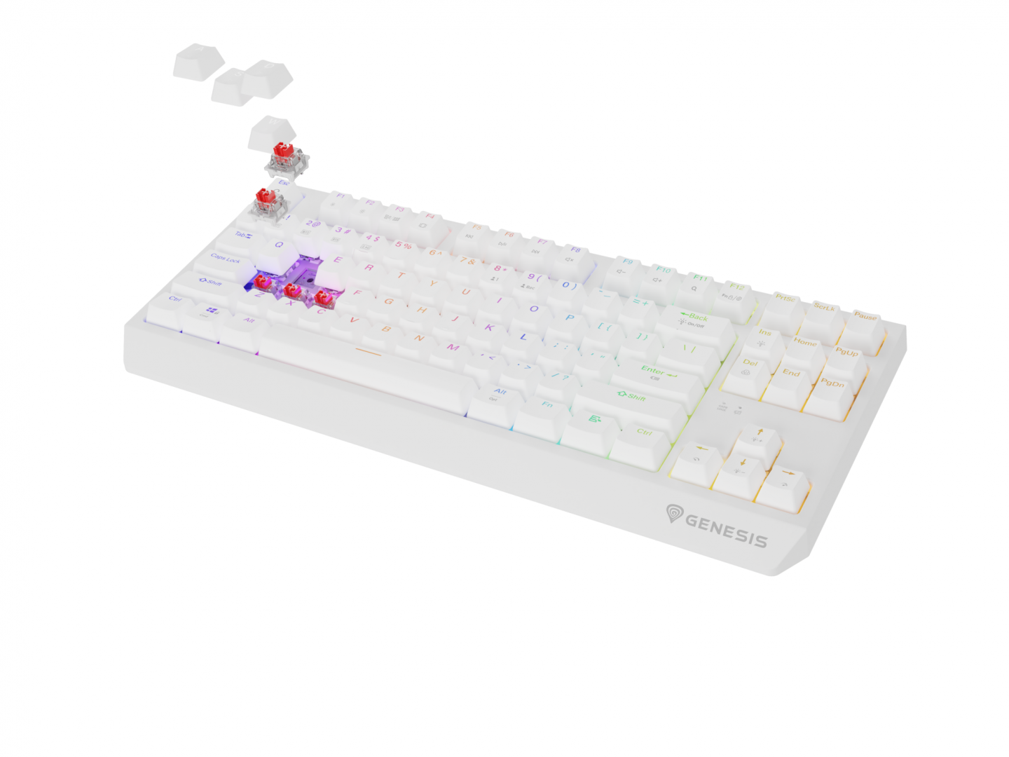Tastatura WS Genesis Thor 230 TKL R alb