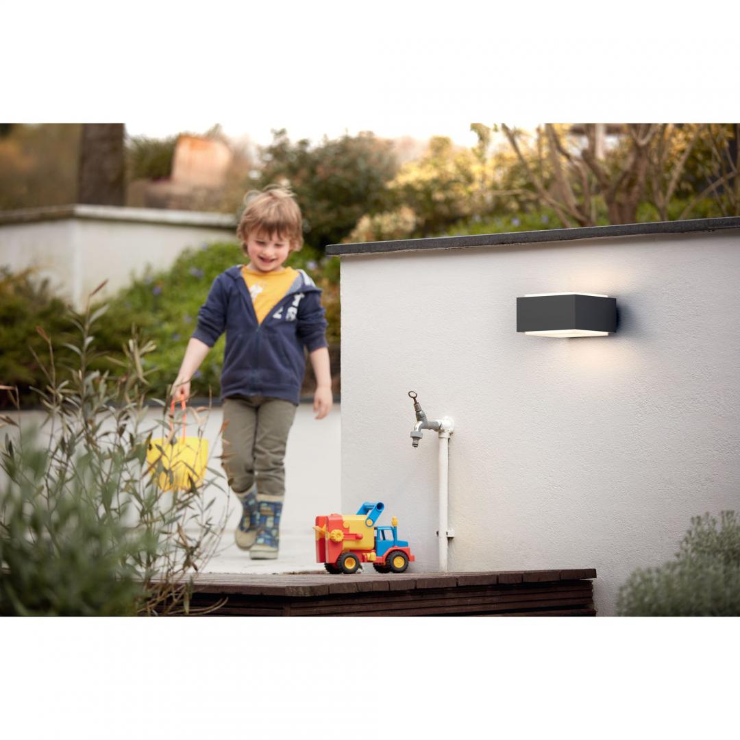 Philips HEDGEHOG WALL LANTERN ANTHRACITE 1X42W