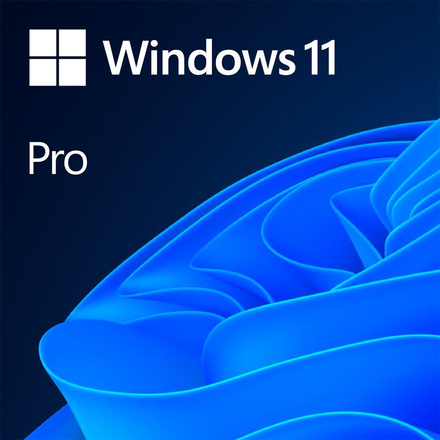 Microsoft LIC OEM WIN 11 PRO 64BIT EN