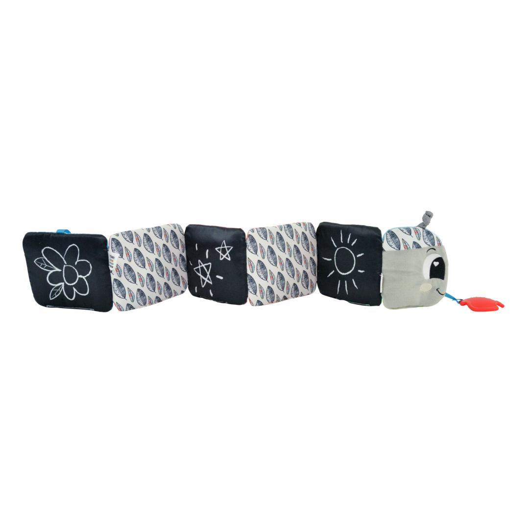 Tomy LAMAZE-CARTE COLORATA, CALATORIA OMIDEI