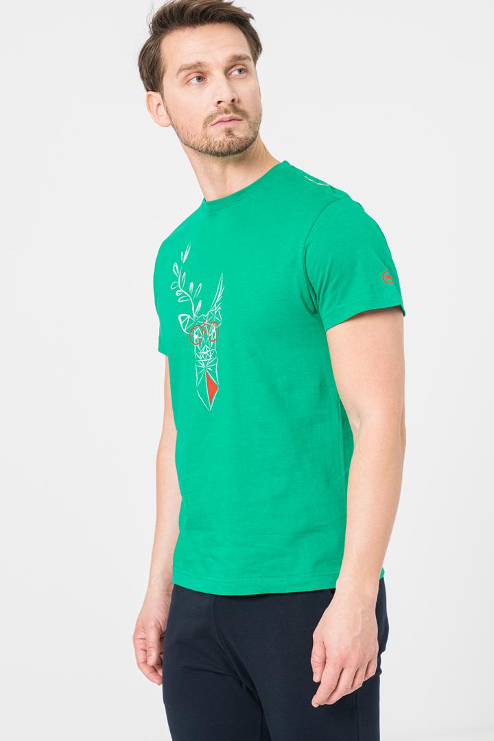 Pegas TRICOU  CERB FAMILIE BARBATI   K GREEN-M