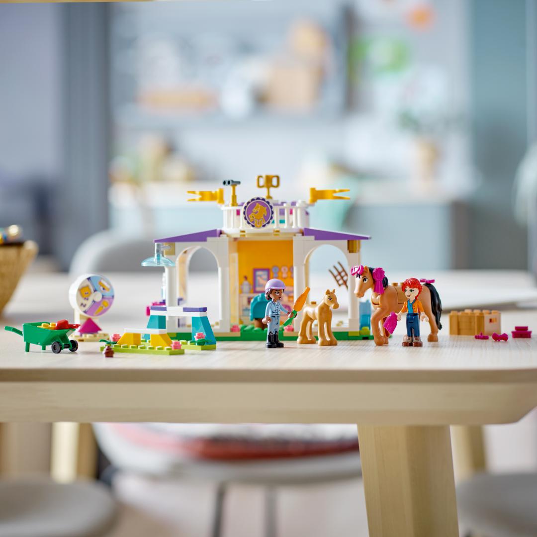 Dresaj de Cai, Lego 41746 (dresaj de Cai)