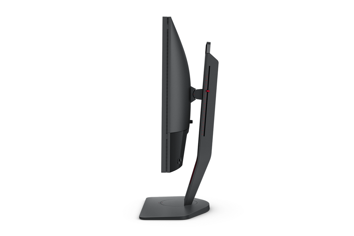 Monitor 24.5